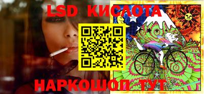 шишки Бузулук