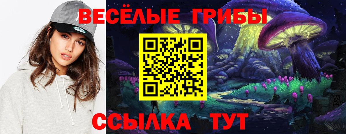 Краснокаменск  Галлюциногенные грибы прущие грибы  купить  сайты  Вход с VPN  Галлюциногенные грибы Cubensis 